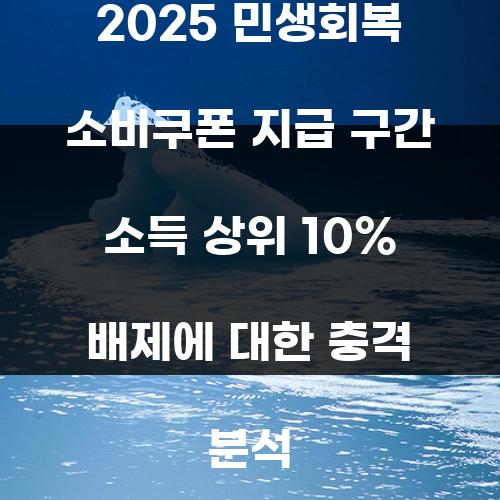 2025 민생회복 소비쿠폰 지급 구간 소득 상위 10% 배제에 대한 충격 분석
