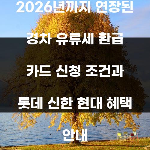 2026년까지 연장된 경차 유류세 환급 카드 신청 조건과 롯데 신한 현대 혜택 안내