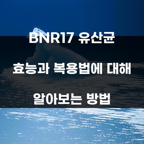 BNR17 유산균 효능과 복용법에 대해 알아보는 방법