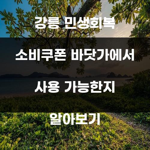 강릉 민생회복 소비쿠폰 바닷가에서 사용 가능한지 알아보기