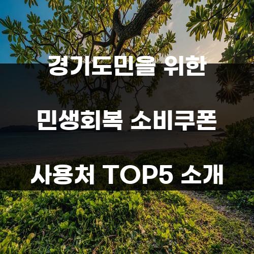 경기도민을 위한 민생회복 소비쿠폰 사용처 TOP5 소개