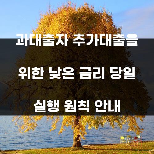 과대출자 추가대출을 위한 낮은 금리 당일 실행 원칙 안내