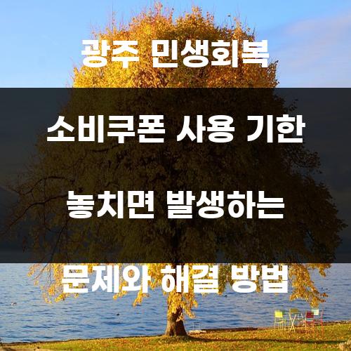 광주 민생회복 소비쿠폰 사용 기한 놓치면 발생하는 문제와 해결 방법