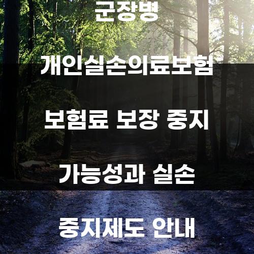 군장병 개인실손의료보험 보험료 보장 중지 가능성과 실손 중지제도 안내