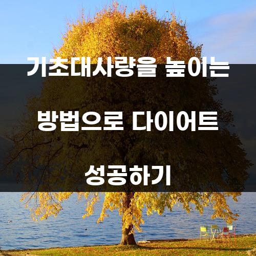 기초대사량을 높이는 방법으로 다이어트 성공하기
