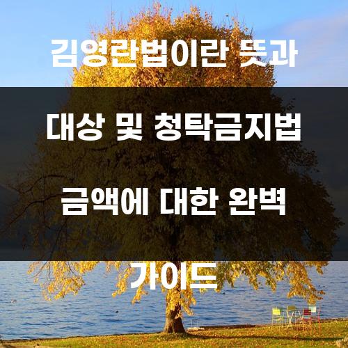 김영란법이란 뜻과 대상 및 청탁금지법 금액에 대한 완벽 가이드