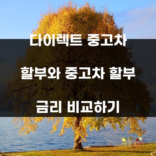다이렉트 중고차 할부와 중고차 할부 금리 비교하기
