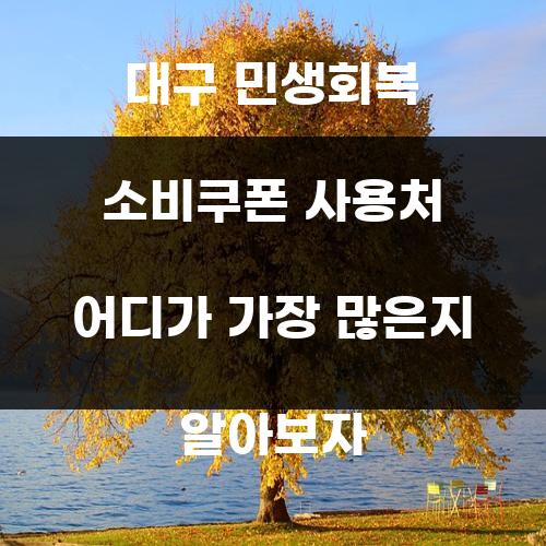 대구 민생회복 소비쿠폰 사용처 어디가 가장 많은지 알아보자