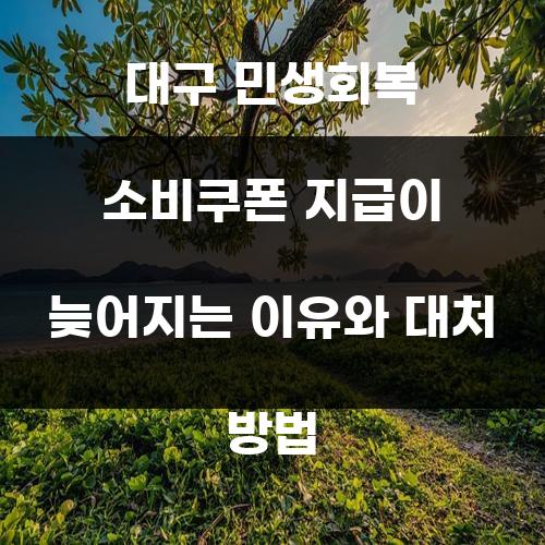 대구 민생회복 소비쿠폰 지급이 늦어지는 이유와 대처 방법