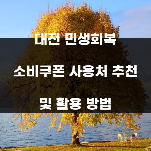 대전 민생회복 소비쿠폰 사용처 추천 및 활용 방법