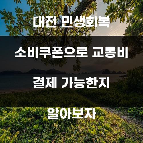 대전 민생회복 소비쿠폰으로 교통비 결제 가능한지 알아보자