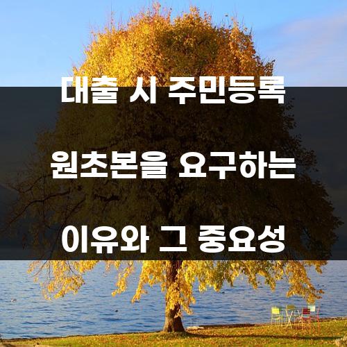 대출 시 주민등록 원초본을 요구하는 이유와 그 중요성