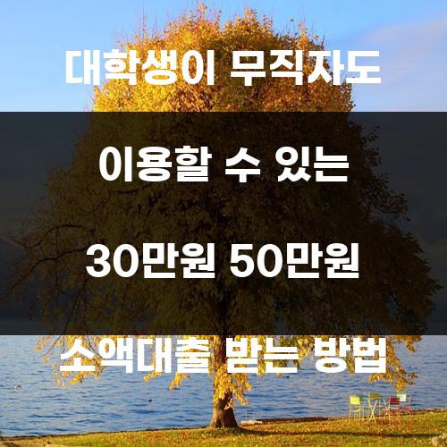 대학생이 무직자도 이용할 수 있는 30만원 50만원 소액대출 받는 방법