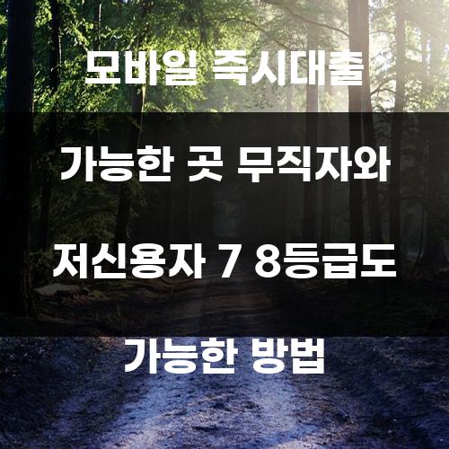 모바일 즉시대출 가능한 곳 무직자와 저신용자 7 8등급도 가능한 방법