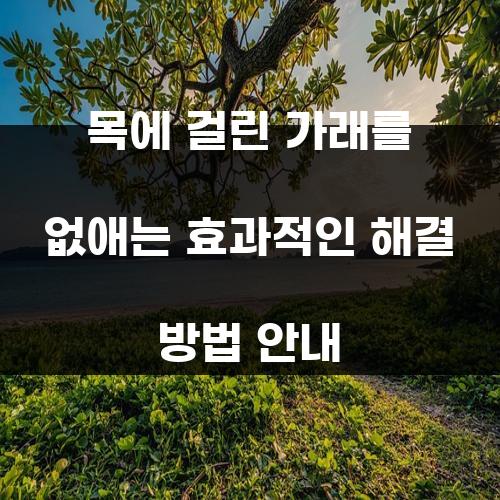 목에 걸린 가래를 없애는 효과적인 해결 방법 안내