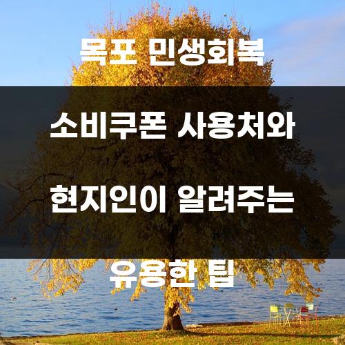 목포 민생회복 소비쿠폰 사용처와 현지인이 알려주는 유용한 팁