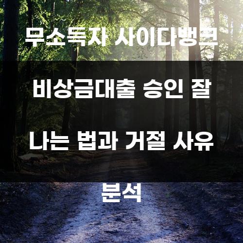 무소득자 사이다뱅크 비상금대출 승인 잘 나는 법과 거절 사유 분석