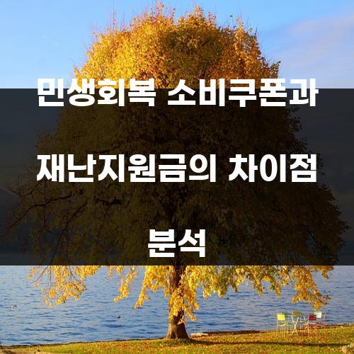 민생회복 소비쿠폰과 재난지원금의 차이점 분석