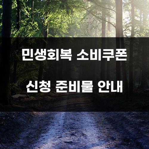 민생회복 소비쿠폰 신청 준비물 안내