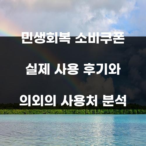 민생회복 소비쿠폰 실제 사용 후기와 의외의 사용처 분석