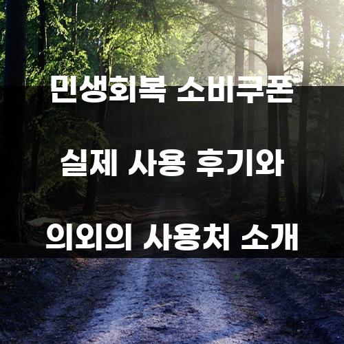민생회복 소비쿠폰 실제 사용 후기와 의외의 사용처 소개