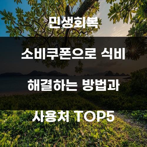 민생회복 소비쿠폰으로 식비 해결하는 방법과 사용처 TOP5