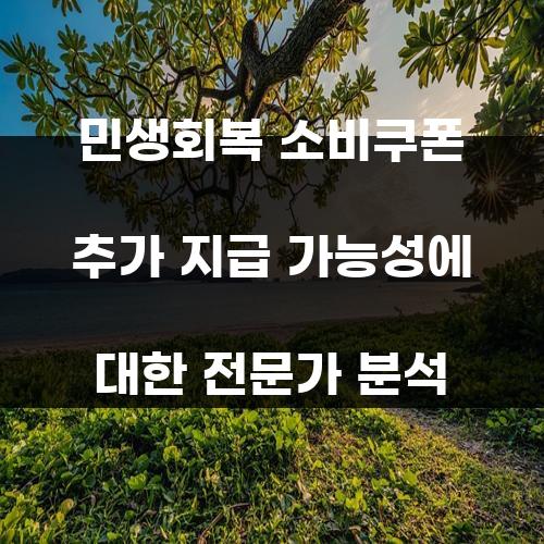 민생회복 소비쿠폰 추가 지급 가능성에 대한 전문가 분석
