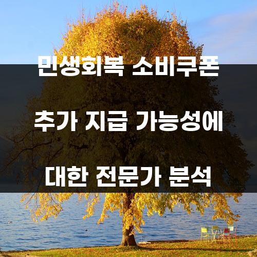 민생회복 소비쿠폰 추가 지급 가능성에 대한 전문가 분석