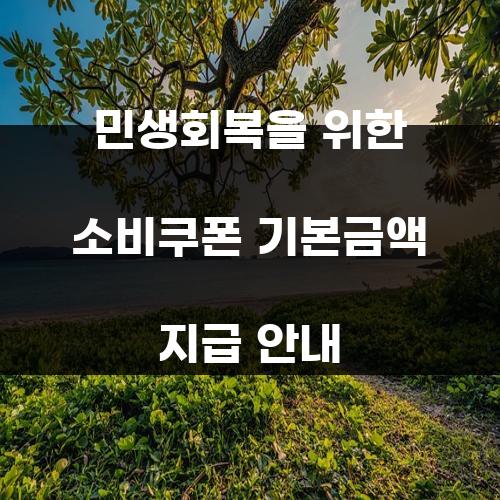 민생회복을 위한 소비쿠폰 기본금액 지급 안내
