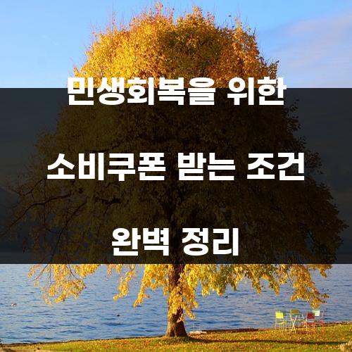 민생회복을 위한 소비쿠폰 받는 조건 완벽 정리