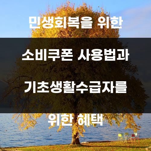 민생회복을 위한 소비쿠폰 사용법과 기초생활수급자를 위한 혜택
