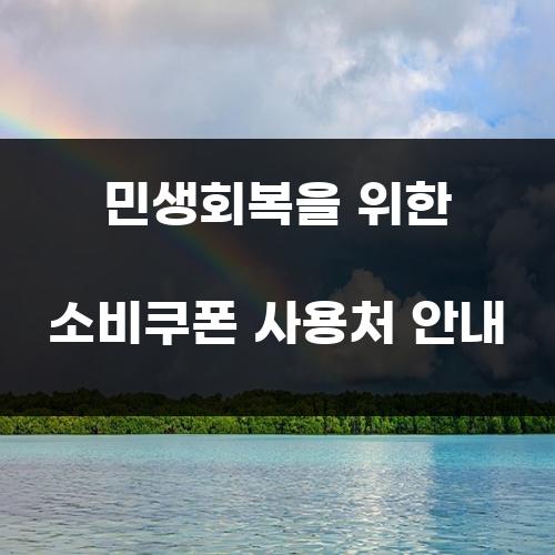 민생회복을 위한 소비쿠폰 사용처 안내