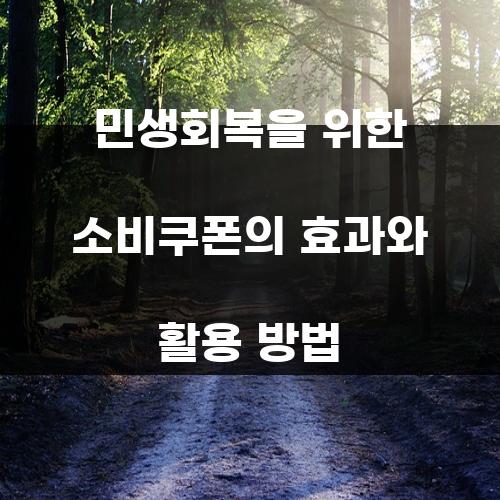 민생회복을 위한 소비쿠폰의 효과와 활용 방법