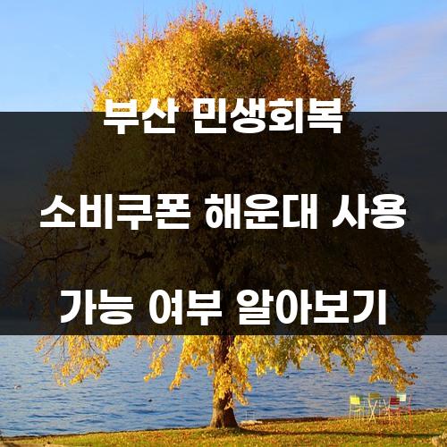 부산 민생회복 소비쿠폰 해운대 사용 가능 여부 알아보기
