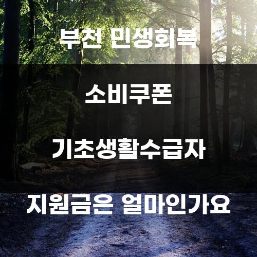 부천 민생회복 소비쿠폰 기초생활수급자 지원금은 얼마인가요