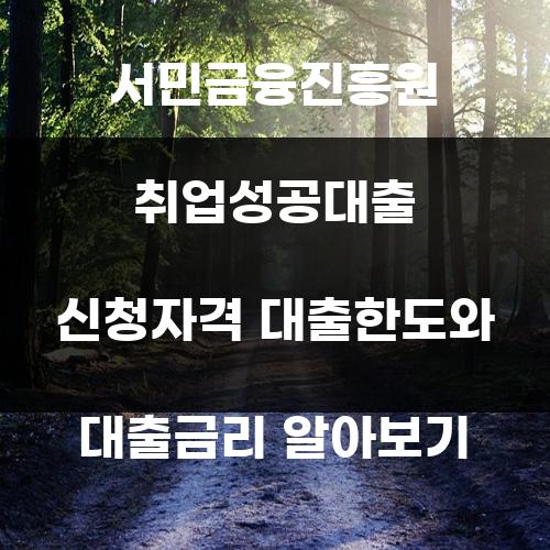 서민금융진흥원 취업성공대출 신청자격 대출한도와 대출금리 알아보기