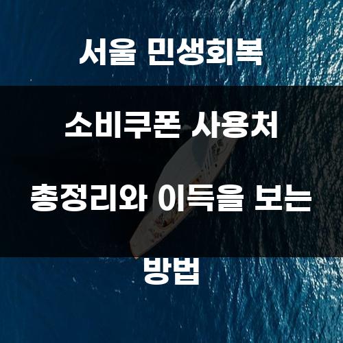 서울 민생회복 소비쿠폰 사용처 총정리와 이득을 보는 방법