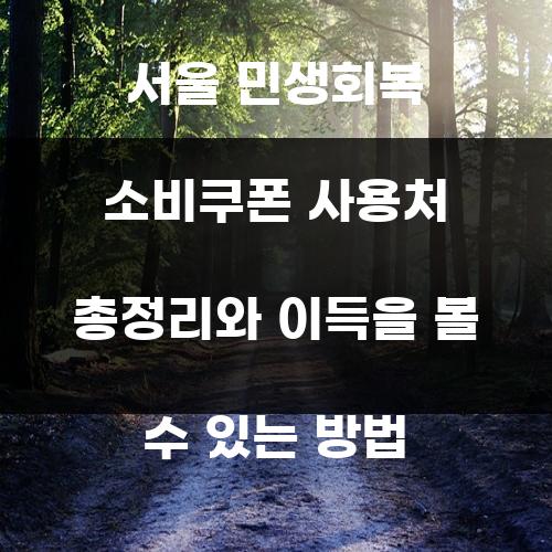 서울 민생회복 소비쿠폰 사용처 총정리와 이득을 볼 수 있는 방법