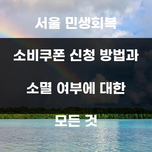 서울 민생회복 소비쿠폰 신청 방법과 소멸 여부에 대한 모든 것