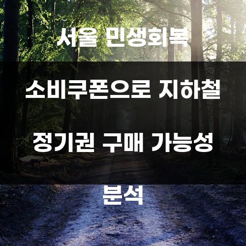 서울 민생회복 소비쿠폰으로 지하철 정기권 구매 가능성 분석
