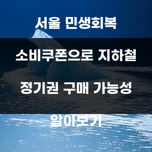 서울 민생회복 소비쿠폰으로 지하철 정기권 구매 가능성 알아보기