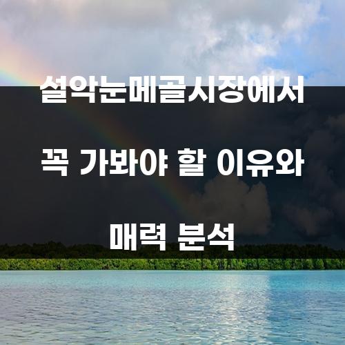 설악눈메골시장에서 꼭 가봐야 할 이유와 매력 분석