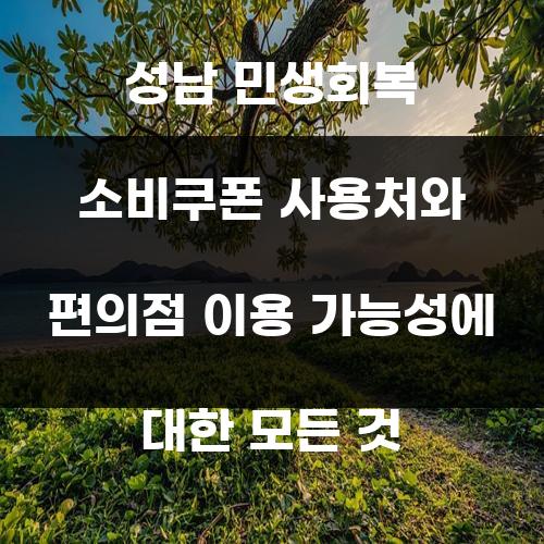 성남 민생회복 소비쿠폰 사용처와 편의점 이용 가능성에 대한 모든 것