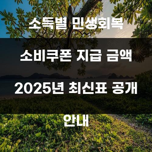 소득별 민생회복 소비쿠폰 지급 금액 2025년 최신표 공개 안내