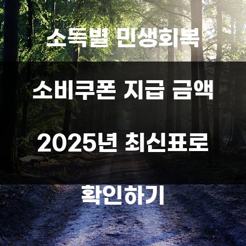 소득별 민생회복 소비쿠폰 지급 금액 2025년 최신표로 확인하기