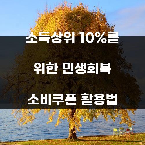 소득상위 10%를 위한 민생회복 소비쿠폰 활용법