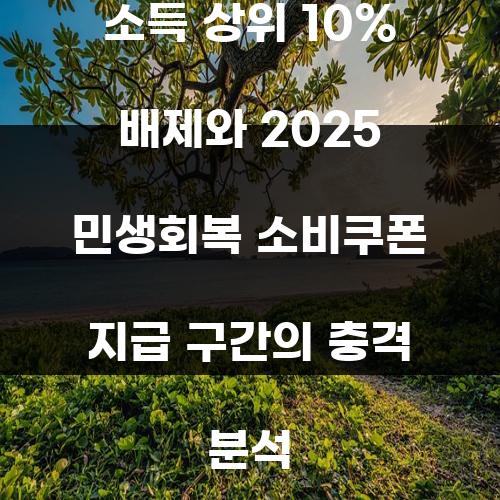 소득 상위 10% 배제와 2025 민생회복 소비쿠폰 지급 구간의 충격 분석