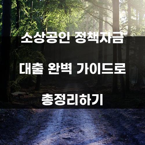 소상공인 정책자금 대출 완벽 가이드로 총정리하기