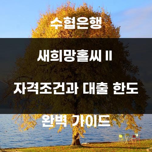 수협은행 새희망홀씨Ⅱ 자격조건과 대출 한도 완벽 가이드