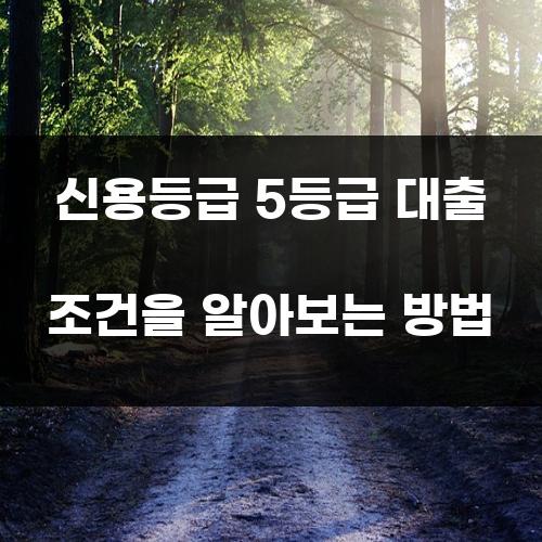 신용등급 5등급 대출 조건을 알아보는 방법